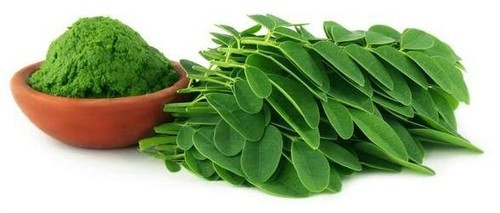 Moringa Oleifera - Great superfood, science based health benefits which lasts longer